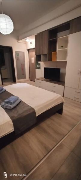 Central Flat 109